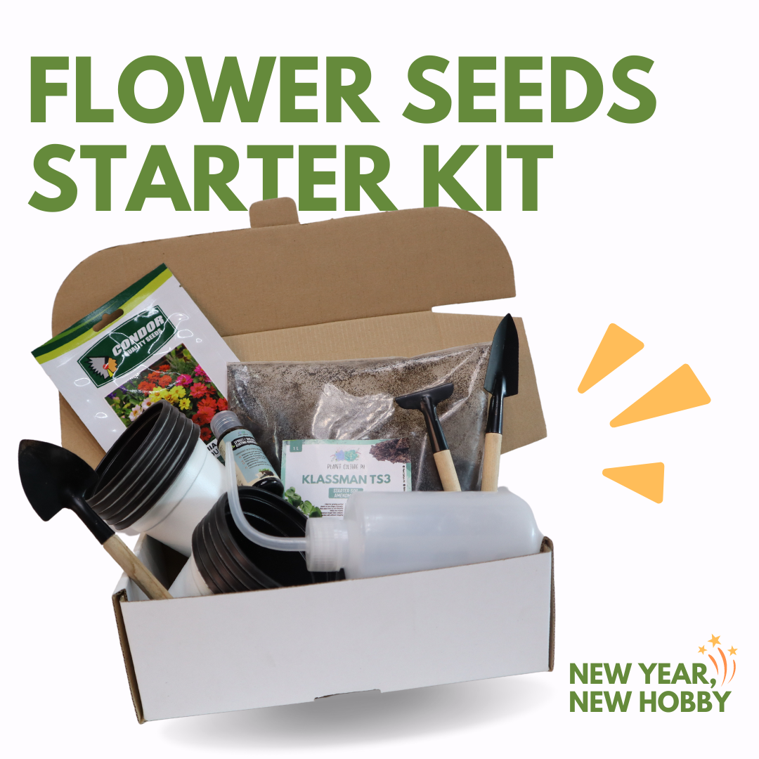 Flower Seeds Starter Kit