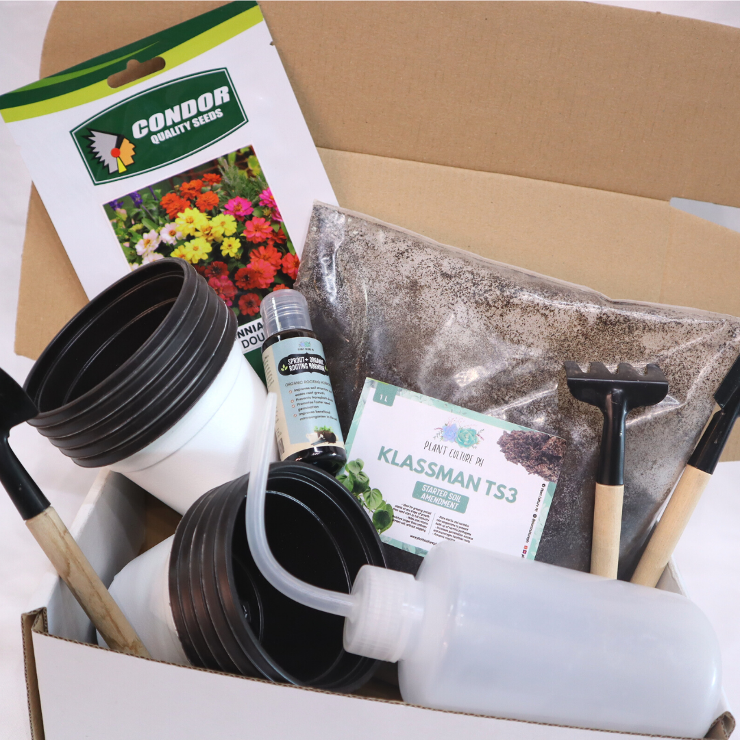 Flower Seeds Starter Kit