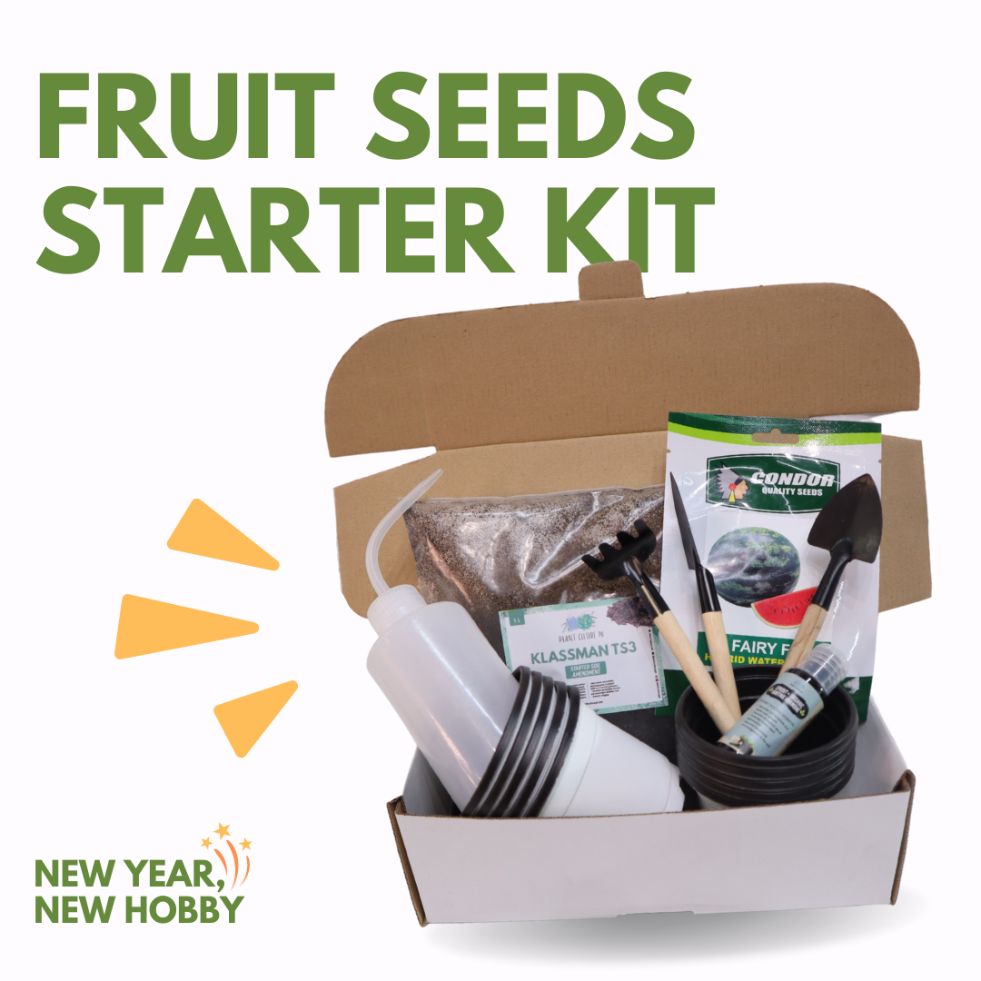 Fruit Seeds Starter Kit