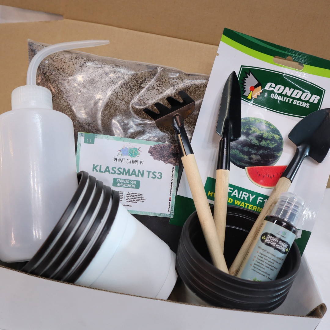 Fruit Seeds Starter Kit