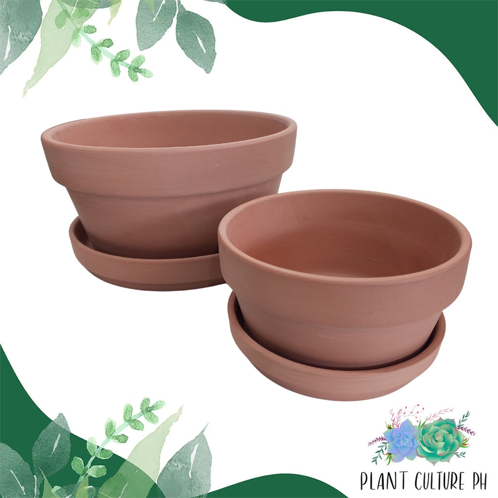 Japanese Terracotta Planters With Catch Plate | Clay Pots with Plant Saucer