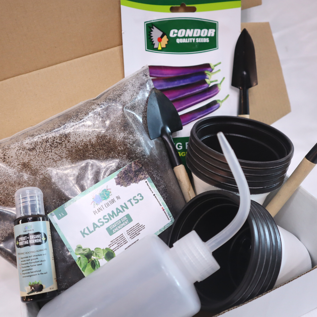 Vegetable Seeds Starter Kit