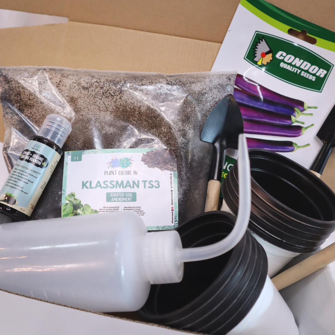 Vegetable Seeds Starter Kit