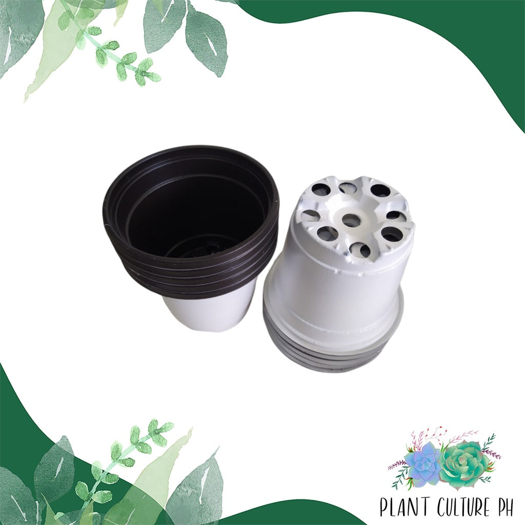 Soft Flexible Planter (10 pcs) | PVC Pots