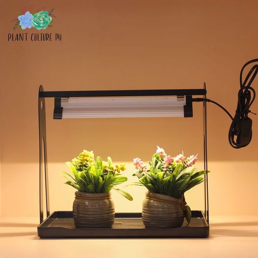 Mini Greenhouse Grow Lights
