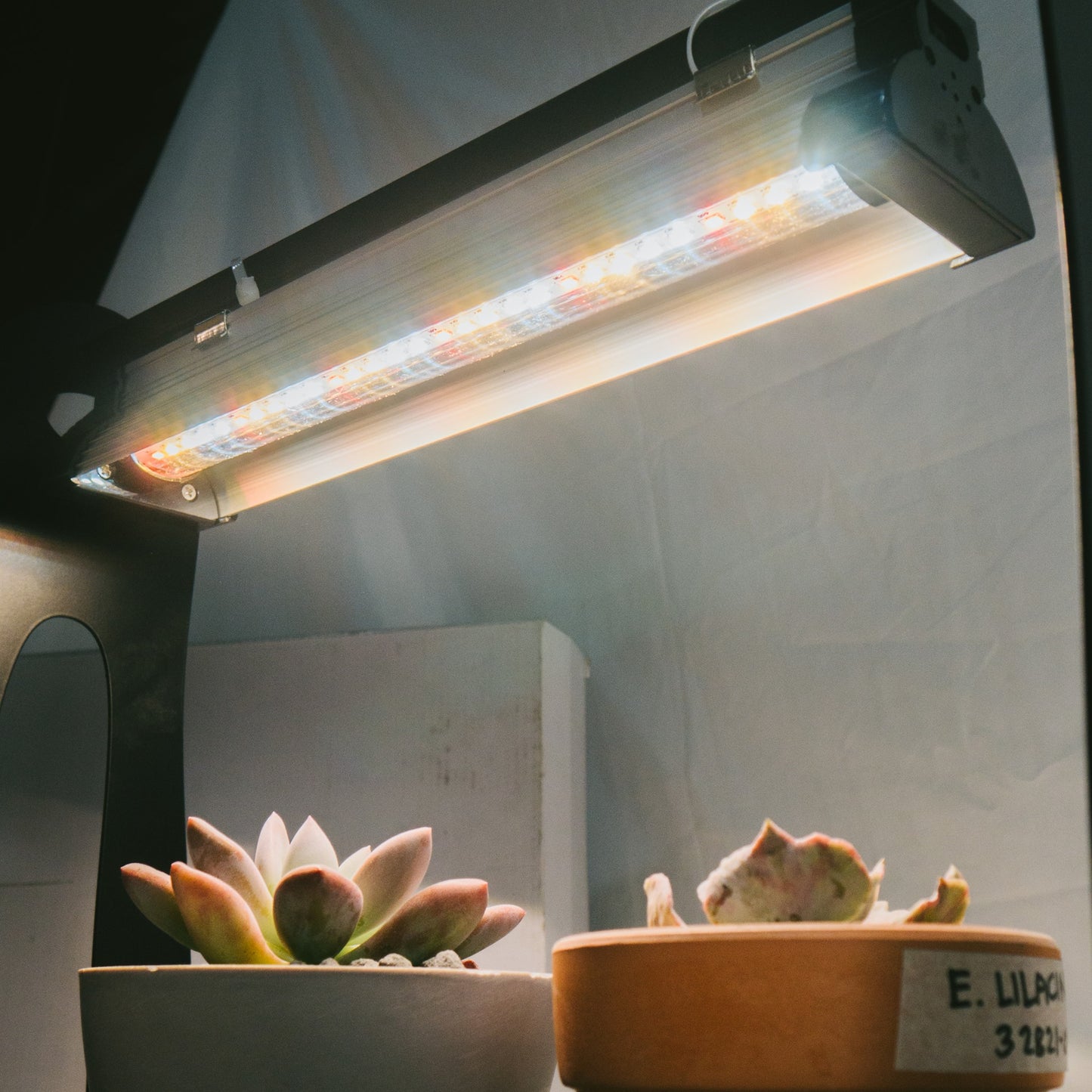 Mini Greenhouse Grow Lights