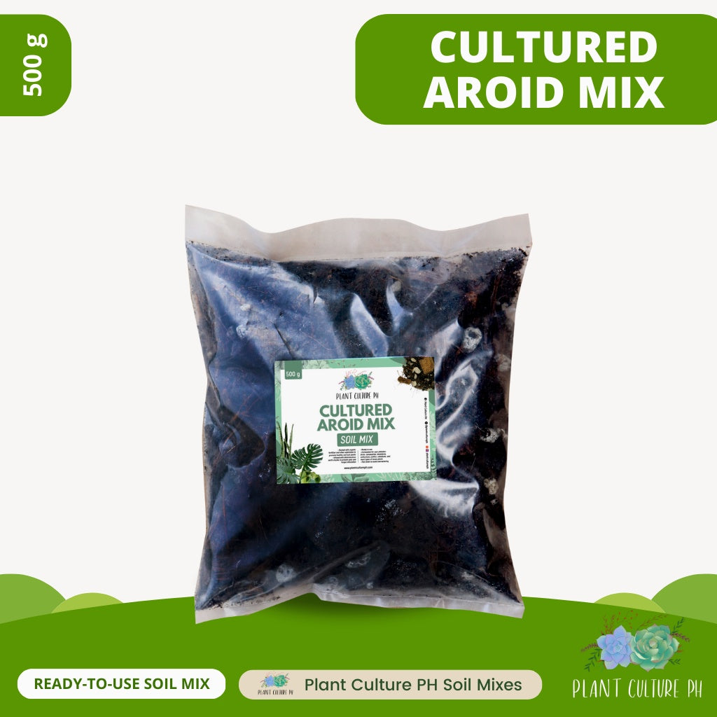 Cultured Aroid Mix by Plant Culture PH