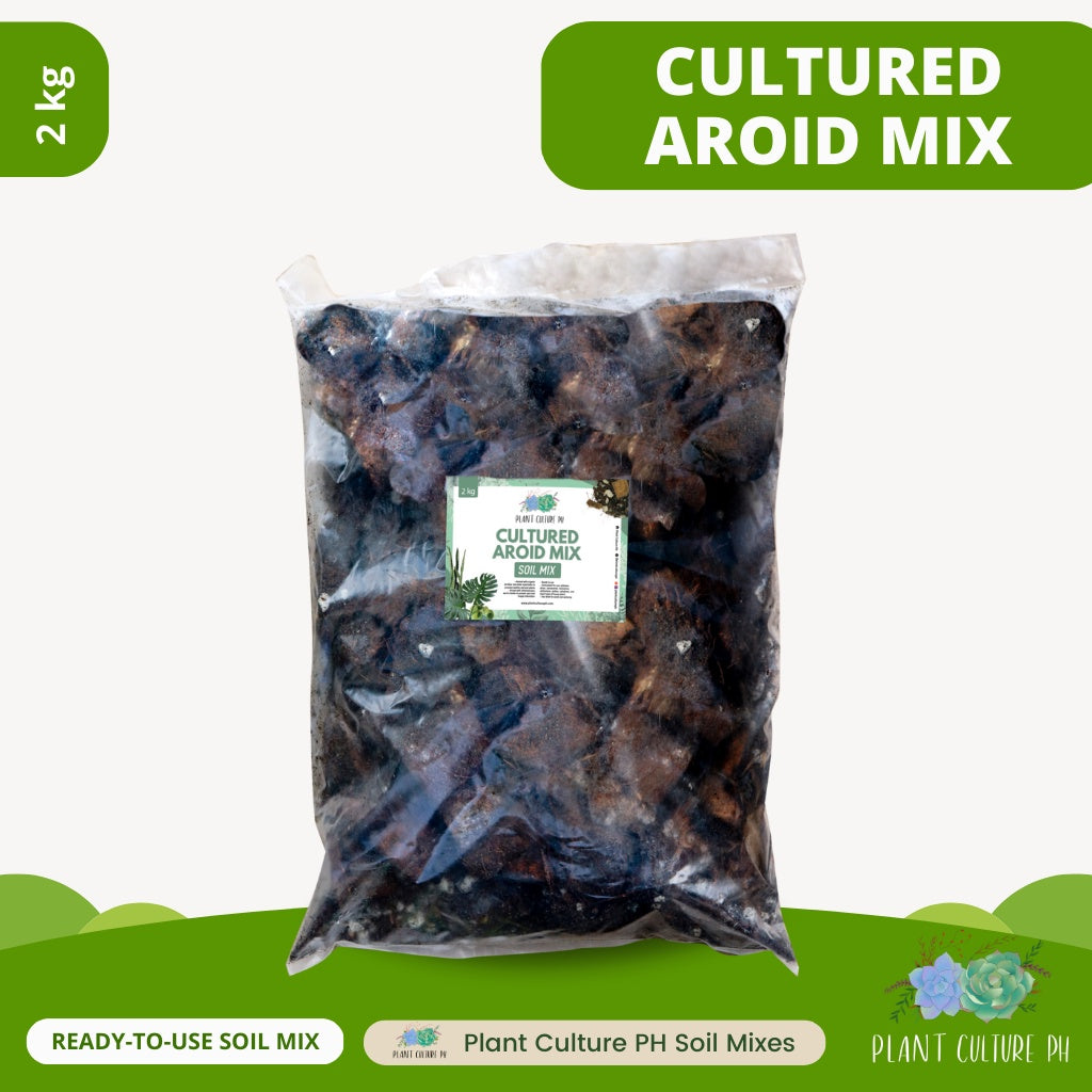 Cultured Aroid Mix by Plant Culture PH