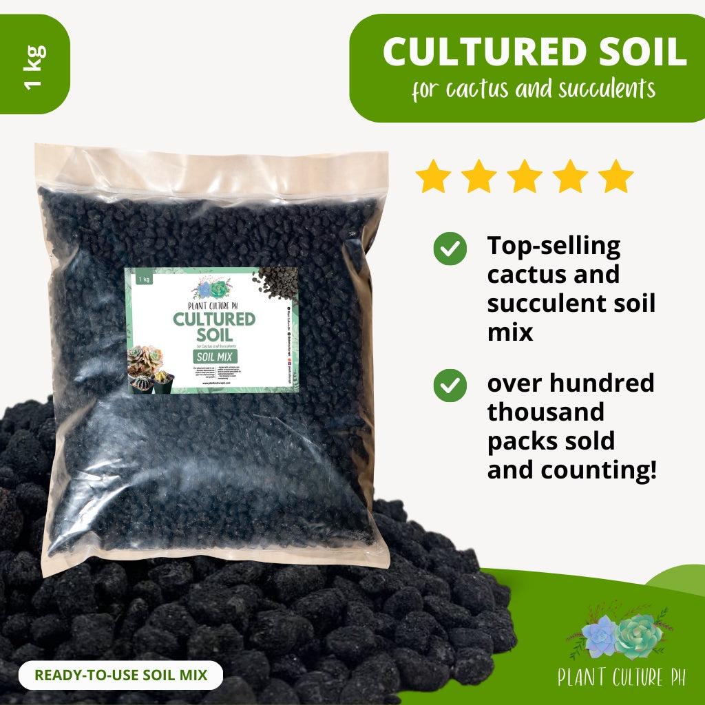Cultured Soil for Cactus and Succulent by Plant Culture PH