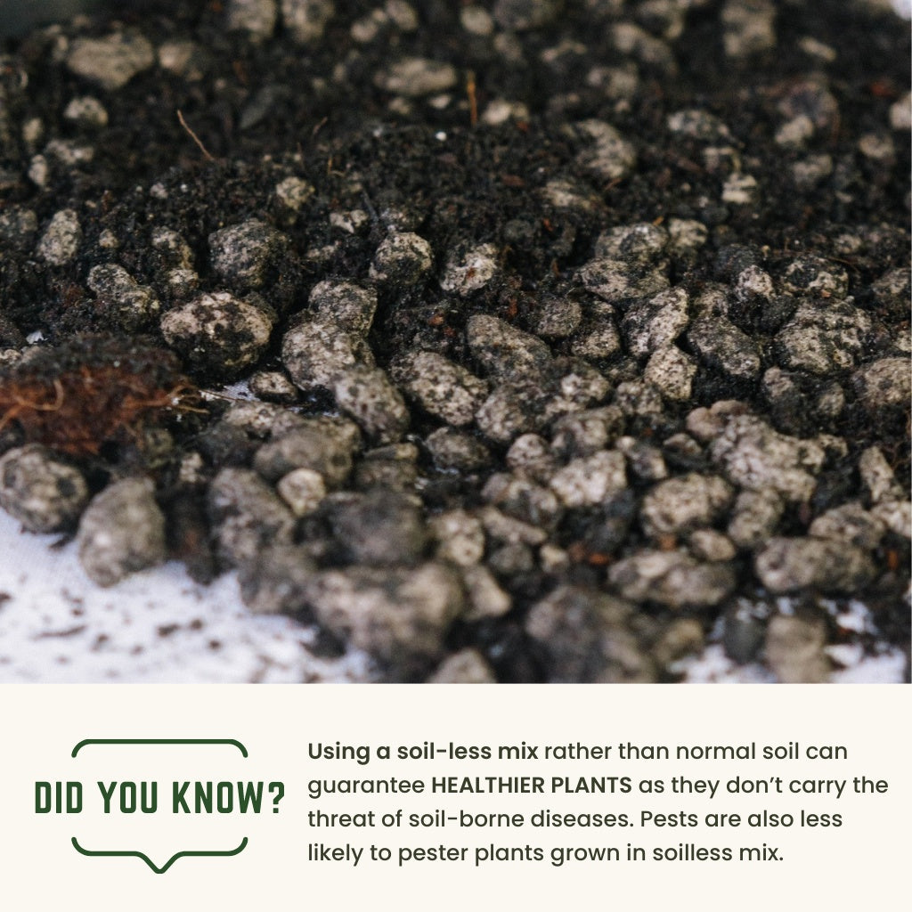 Cultured Soilless Potting Mix for Potted Plants