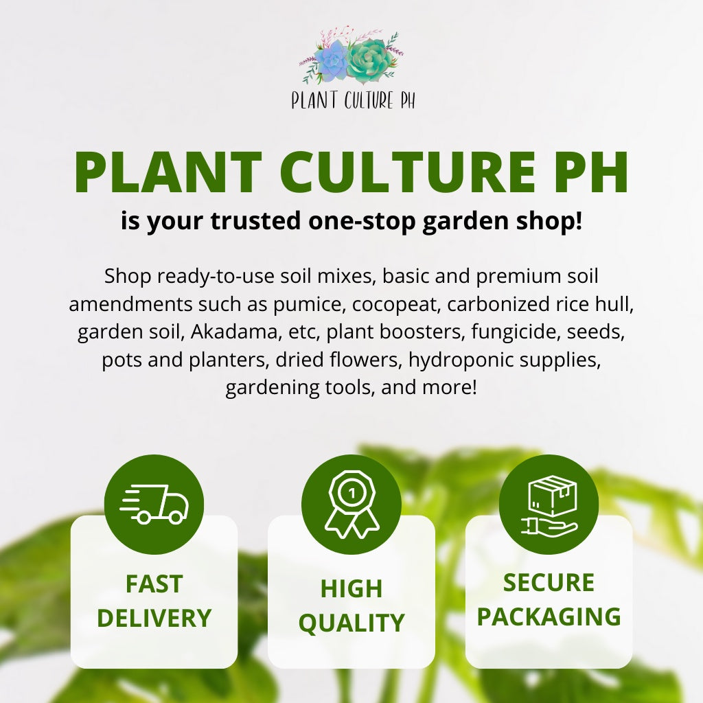 Alnus Compost 1 Liter by Plant Culture PH
