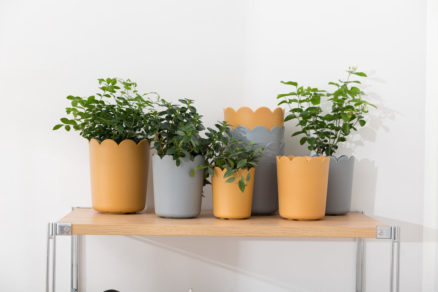 Simple Resin Planter with Catch Plate | Plastic Pots