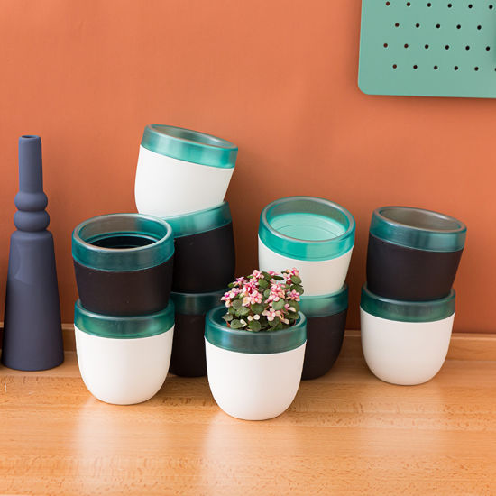 Self-Watering Plastic Planter | Plastic Pots