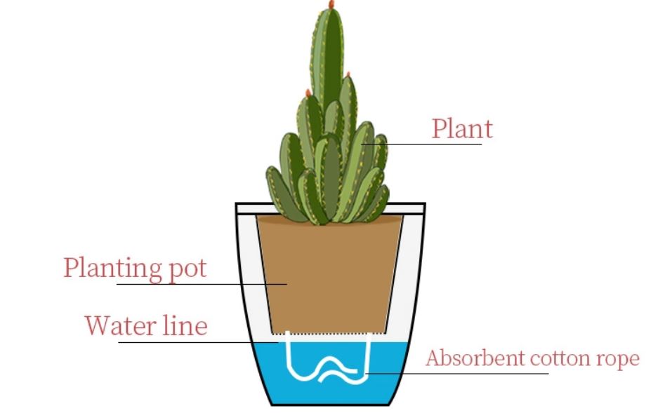 Self-Watering Plastic Planter | Plastic Pots