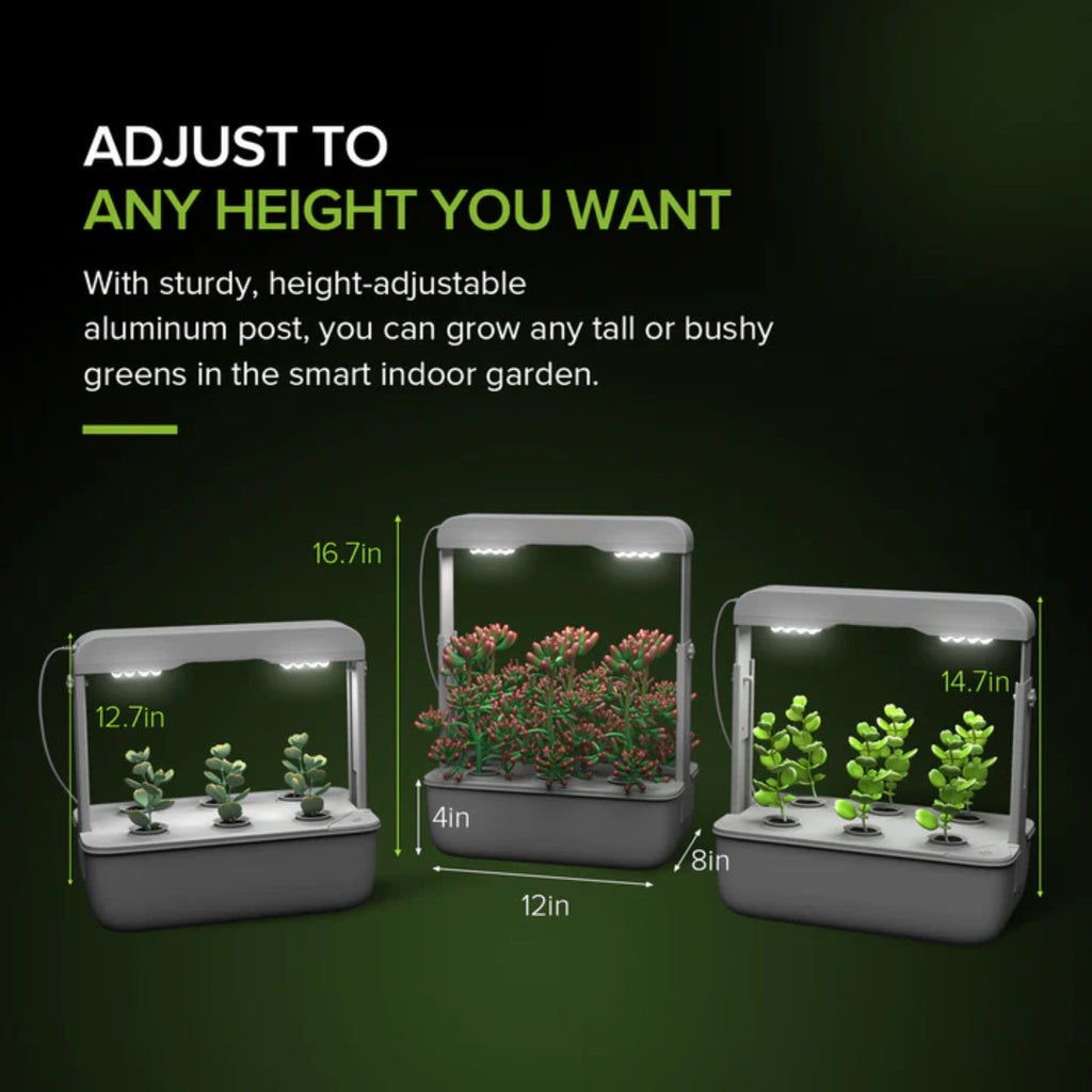 SANSI Hydroponics Growing System