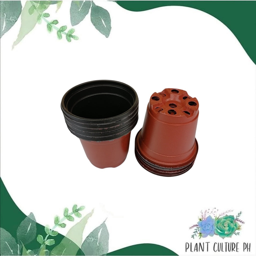 Soft Flexible Planter (10 pcs) | PVC Pots