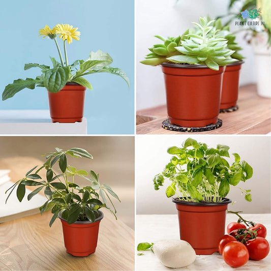 Soft Flexible PVC Plastic Planters 5pcs/ 10pcs/ 50pcs