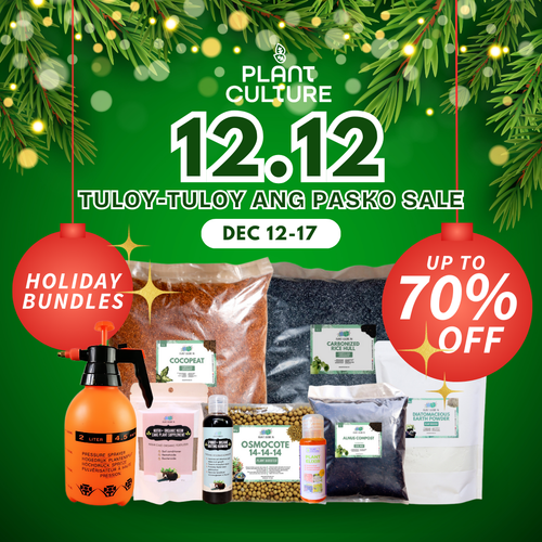 12.12 SALE