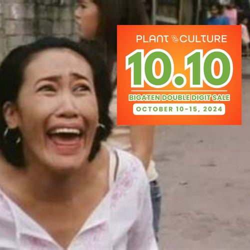 10.10 Deals