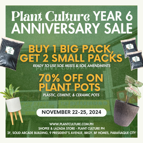 🥳 ANNIVERSARY SALE! 🥳