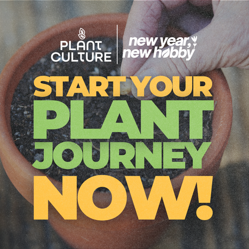 Seed Starter Kits