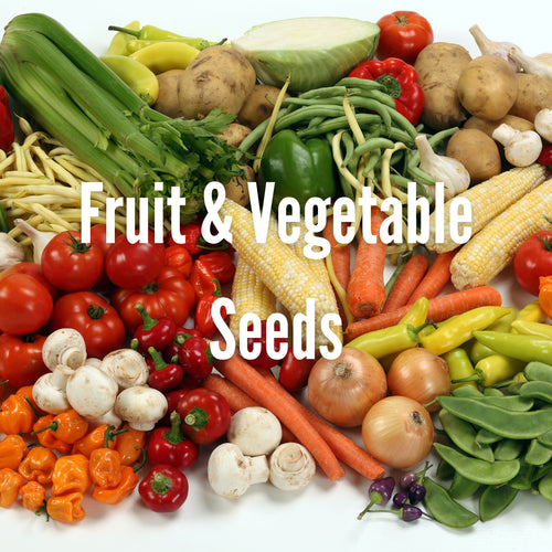 Vegetables and Fruits Seeds