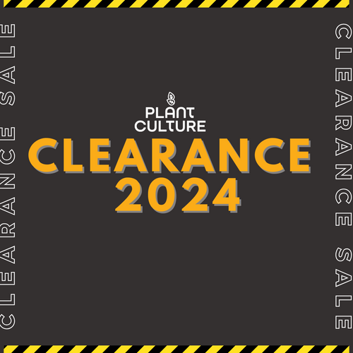 Clerance 2024