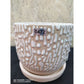 Trumpet Mouth 5.8x5" Pots