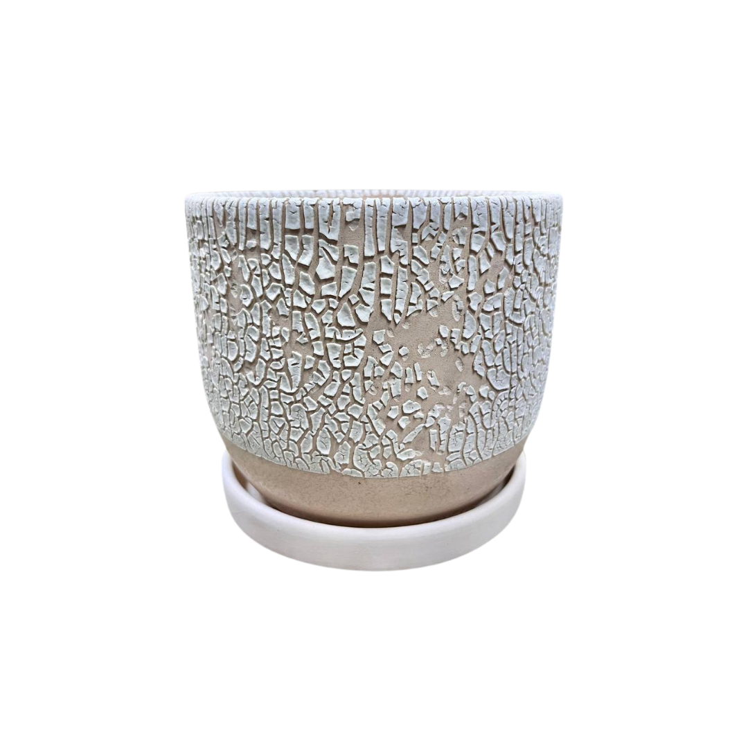Trumpet Mouth 5.8x5" Pots