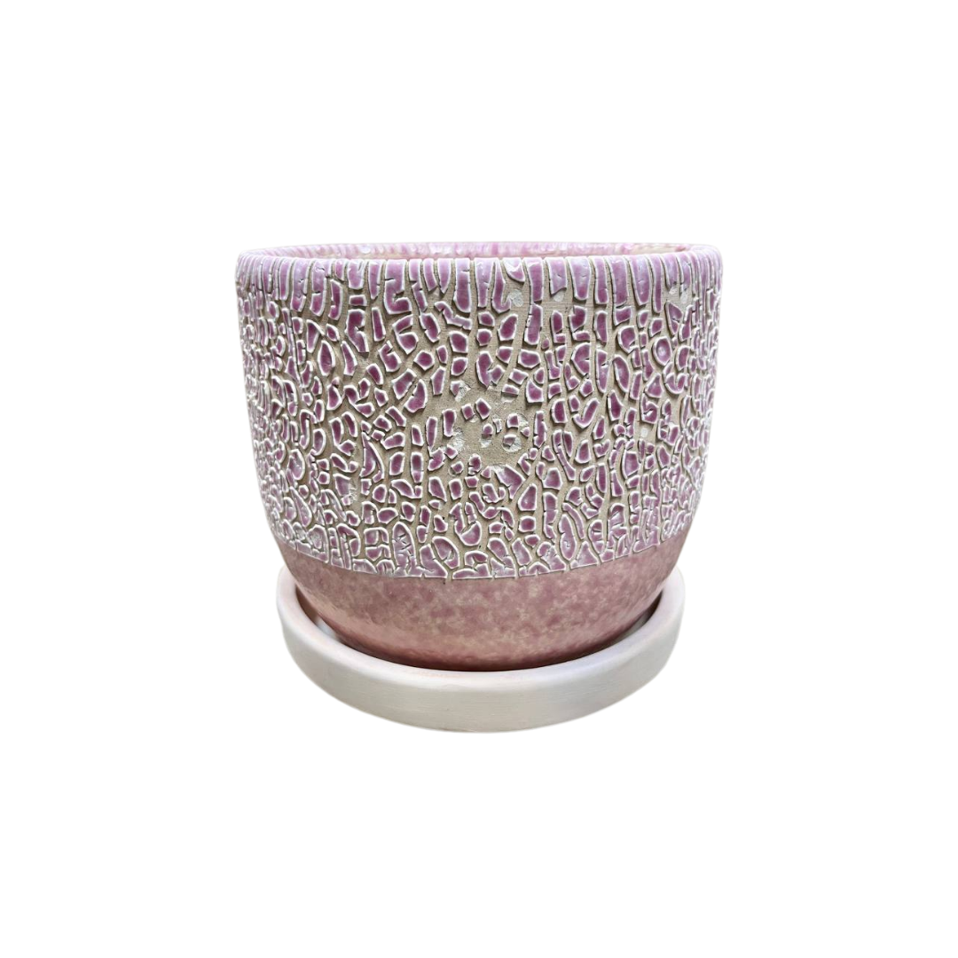 Trumpet Mouth 5.8x5" Pots