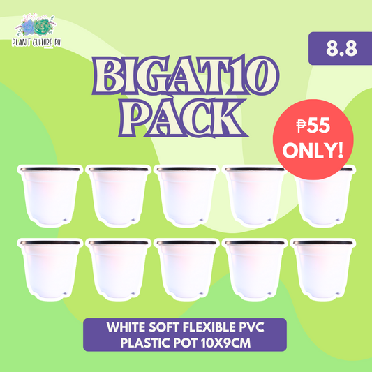Plant Culture BIGAT10 Pack White Soft Flexible PVC Plastic Pot 10x9cm 10pcs
