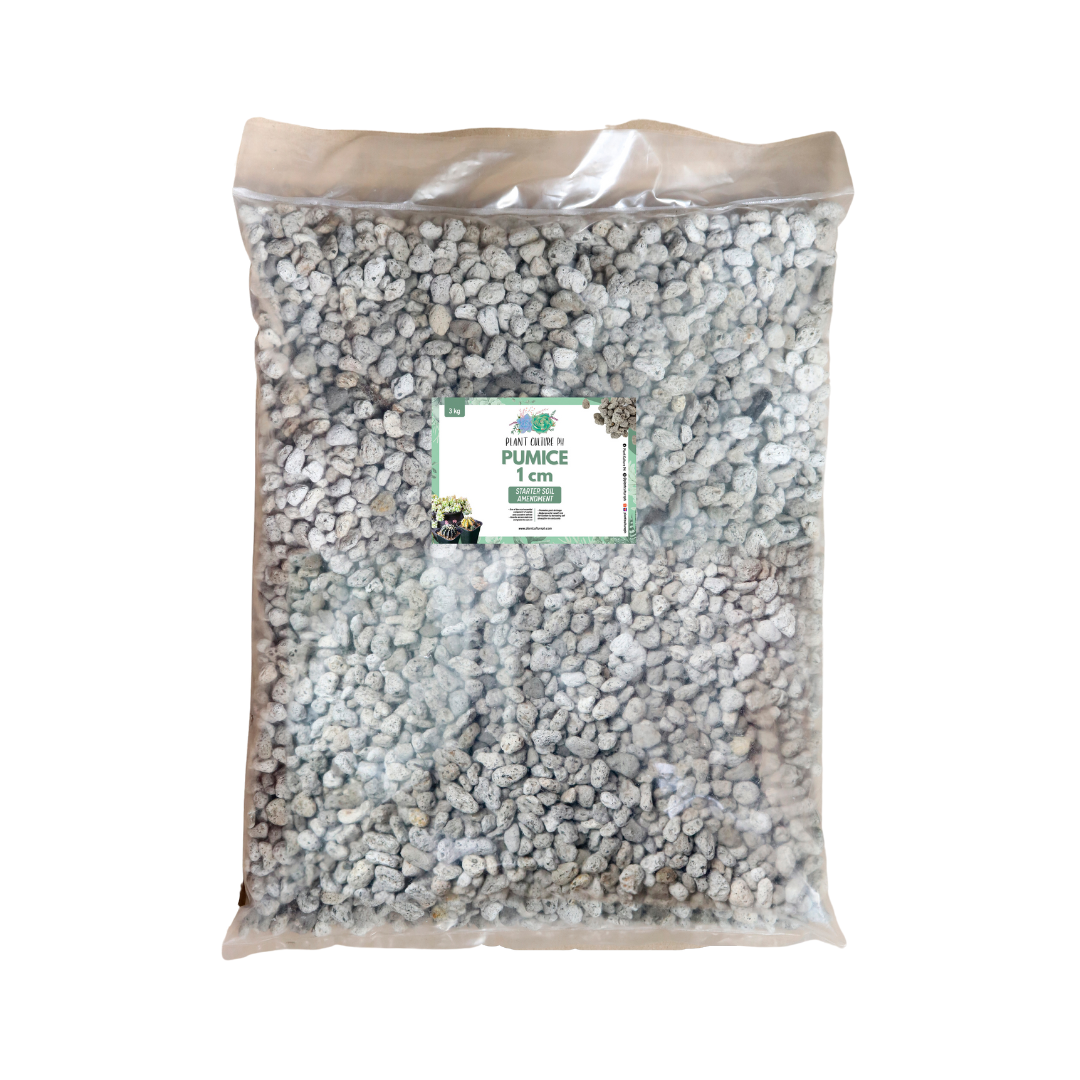 Pumice Stones (Matanghito, Monggo, 1cm, Corn)