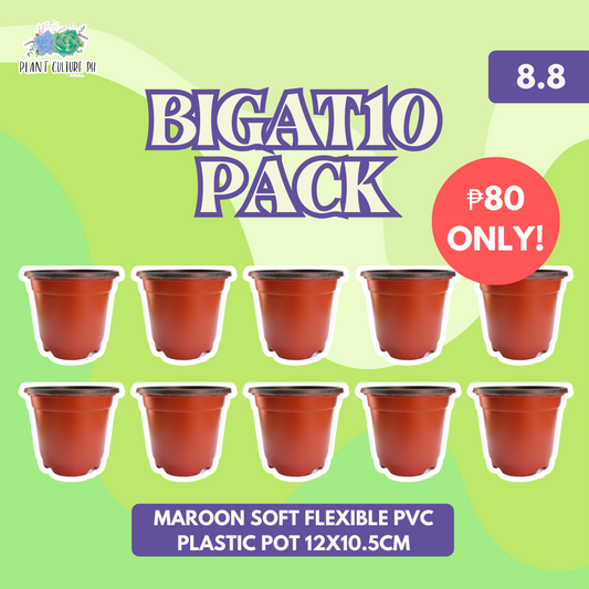 Plant Culture BIGAT10 Pack Maroon Soft Flexible PVC Plastic Pot 12x10.5cm 10pcs
