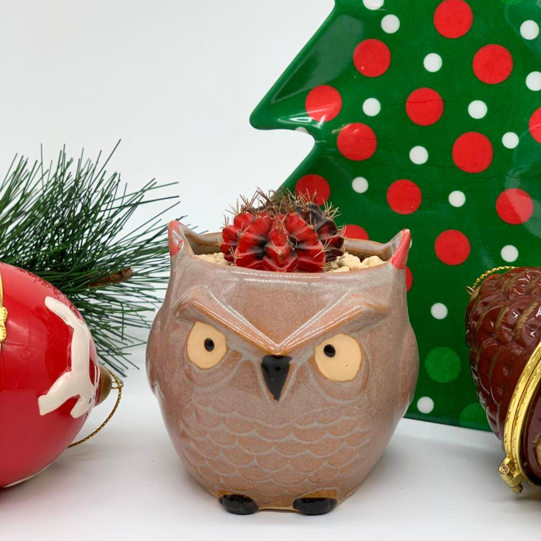 Holiday Hoot Owls
