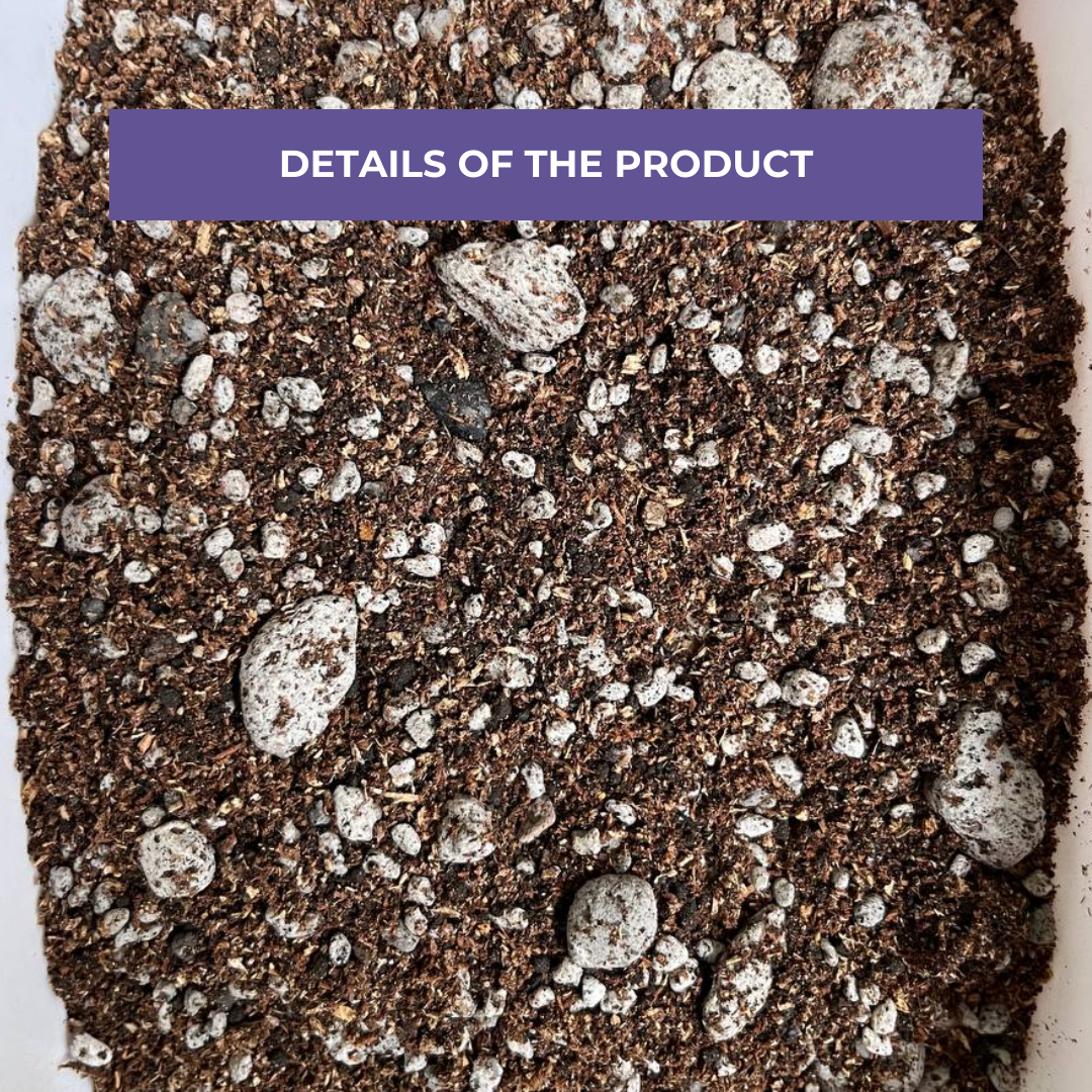 Cultured Aroid Mix 1L & 5L | Ready-to-Use Soil Mix