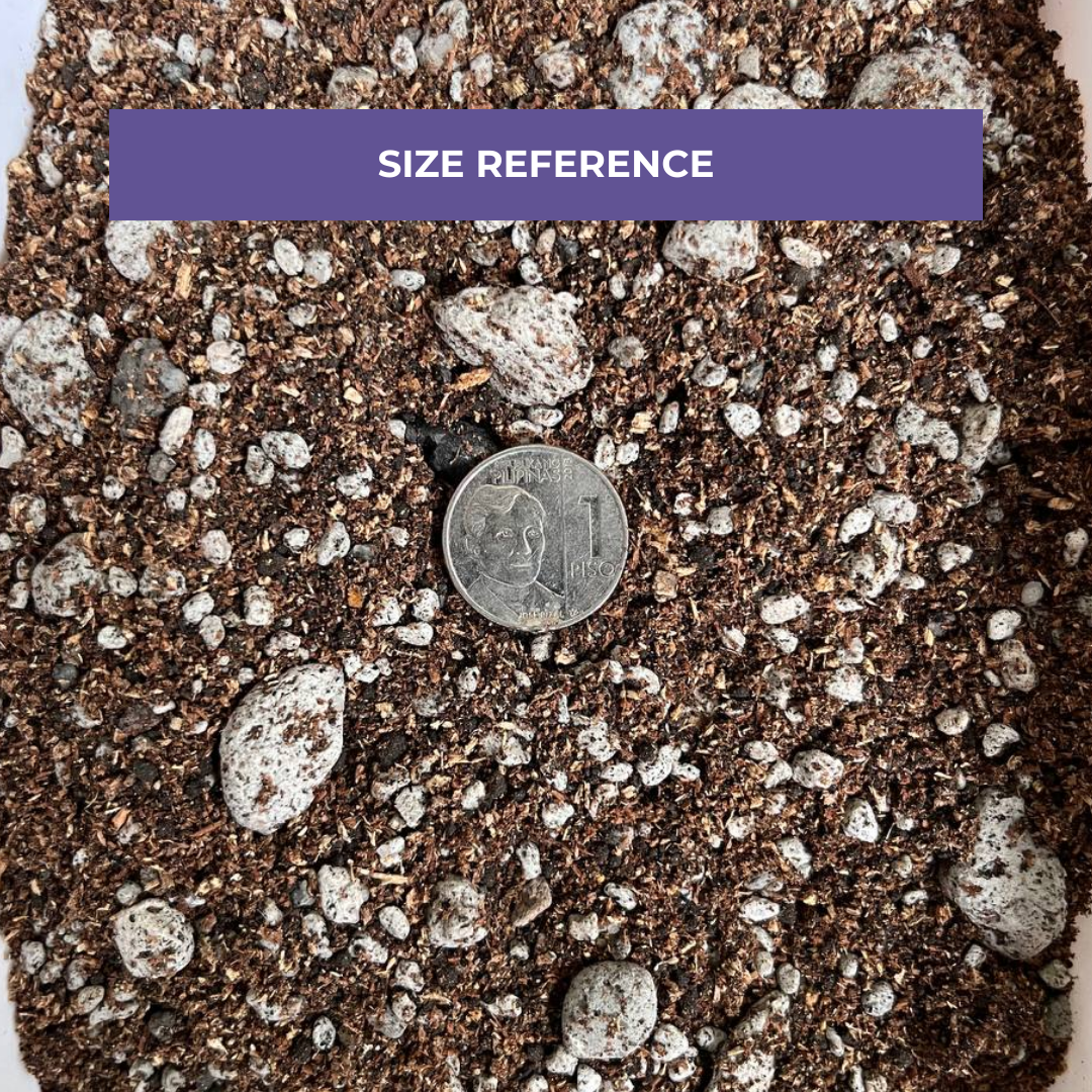 Cultured Aroid Mix 1L & 5L | Ready-to-Use Soil Mix
