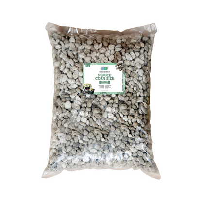 Pumice Stones (Matanghito, Monggo, 1cm, Corn)