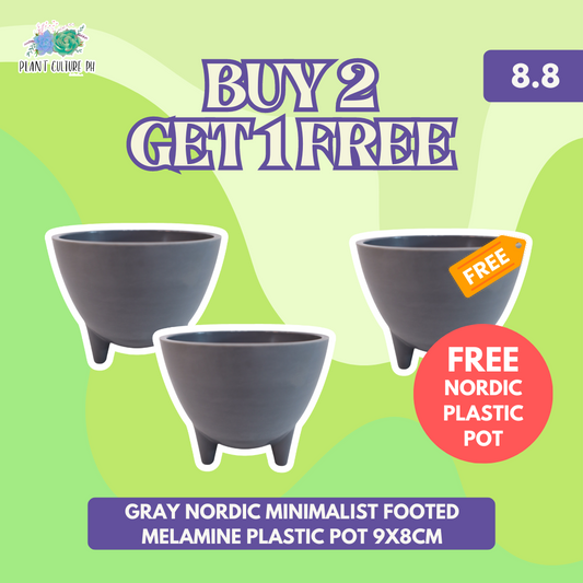 Plant Culture Buy 2 Gray Nordic Minimalist Footed Melamine Plastic Pot 9x8cm Get 1 FREE