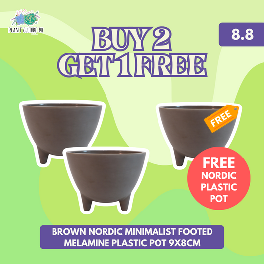 Plant Culture Buy 2 Brown Nordic Minimalist Footed Melamine Plastic Pot 9x8cm Get 1 FREE