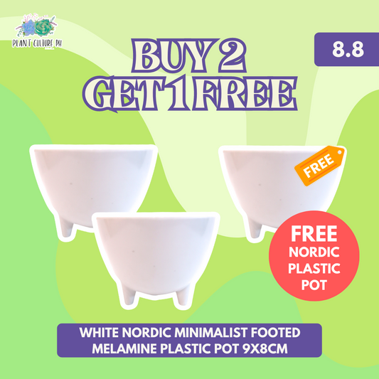 Plant Culture Buy 2 White Nordic Minimalist Footed Melamine Plastic Pot 9x8cm Get 1 FREE