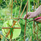 All-purpose Twist Tie Wire Spool with Cutter for Plants, Gardening, Organizing, and Home 20m