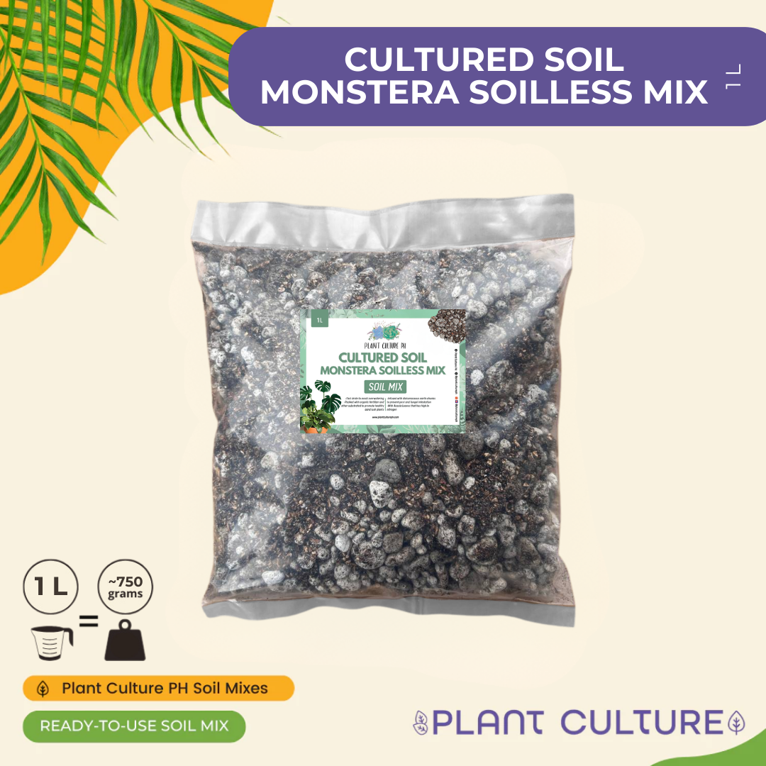 Cultured Soil Monstera Soilless Mix 1L & 5L | Ready-to-Use Soil Mix