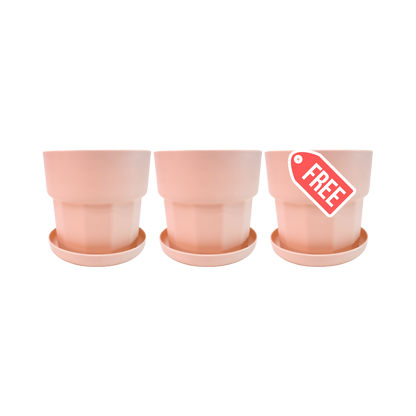 (BUY 2 GET 1 FREE) Modern Minimalist Planter with Catch Plate | Plastic Pots with Plant Saucer