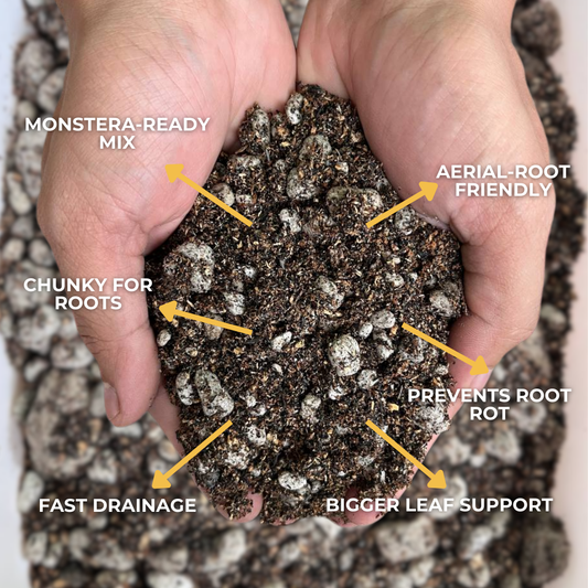 Cultured Soil Monstera Soilless Mix 1L & 5L | Ready-to-Use Soil Mix