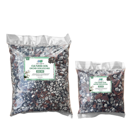 Cultured Soil Orchid Soilless Mix 1L & 5L | Ready-to-Use Soil Mix