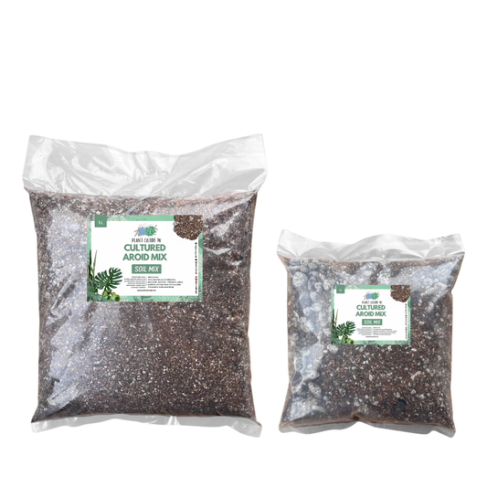 Cultured Aroid Mix 1L & 5L | Ready-to-Use Soil Mix