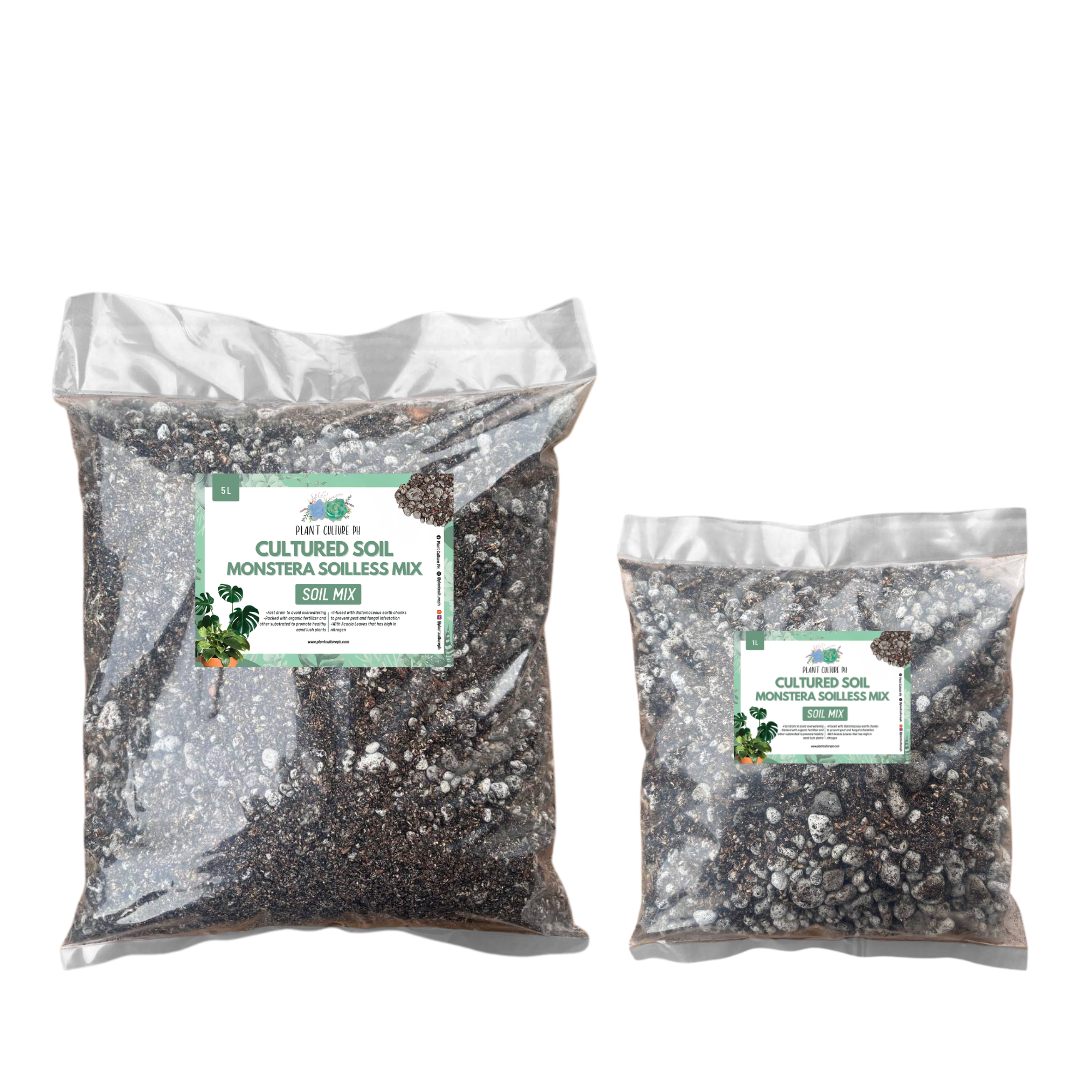 Cultured Soil Monstera Soilless Mix 1L & 5L | Ready-to-Use Soil Mix