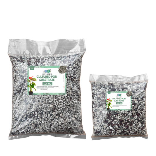 Cultured Pon Substrate 1L & 5L | Premium Mineral Growing Medium