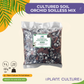 Cultured Soil Orchid Soilless Mix 1L & 5L | Ready-to-Use Soil Mix