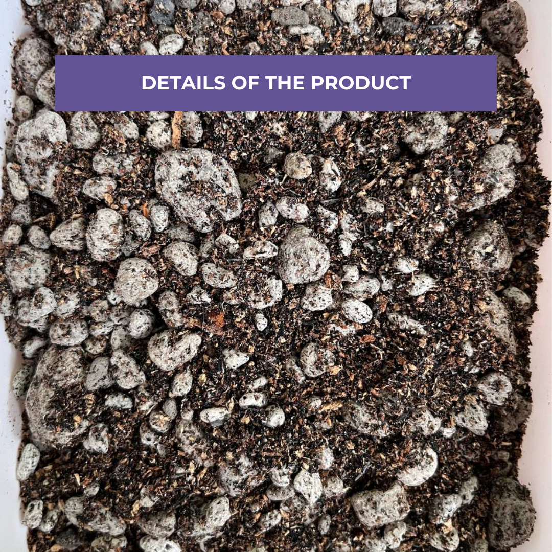 Cultured Soil Monstera Soilless Mix 1L & 5L | Ready-to-Use Soil Mix